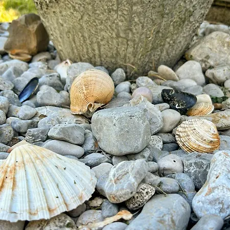 شقة Palma-3 By Interhome لوفغان