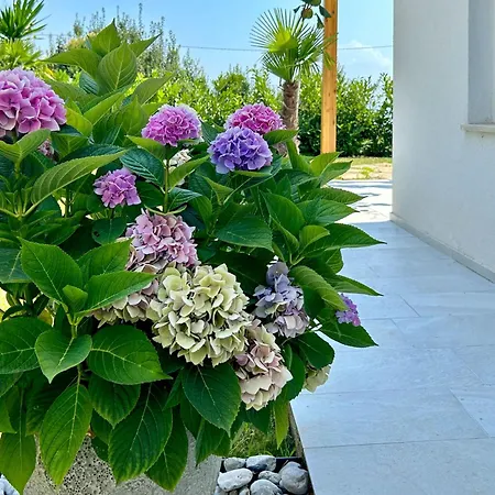 Palma-3 By Interhome شقة