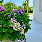 Palma-3 By Interhome Apartament